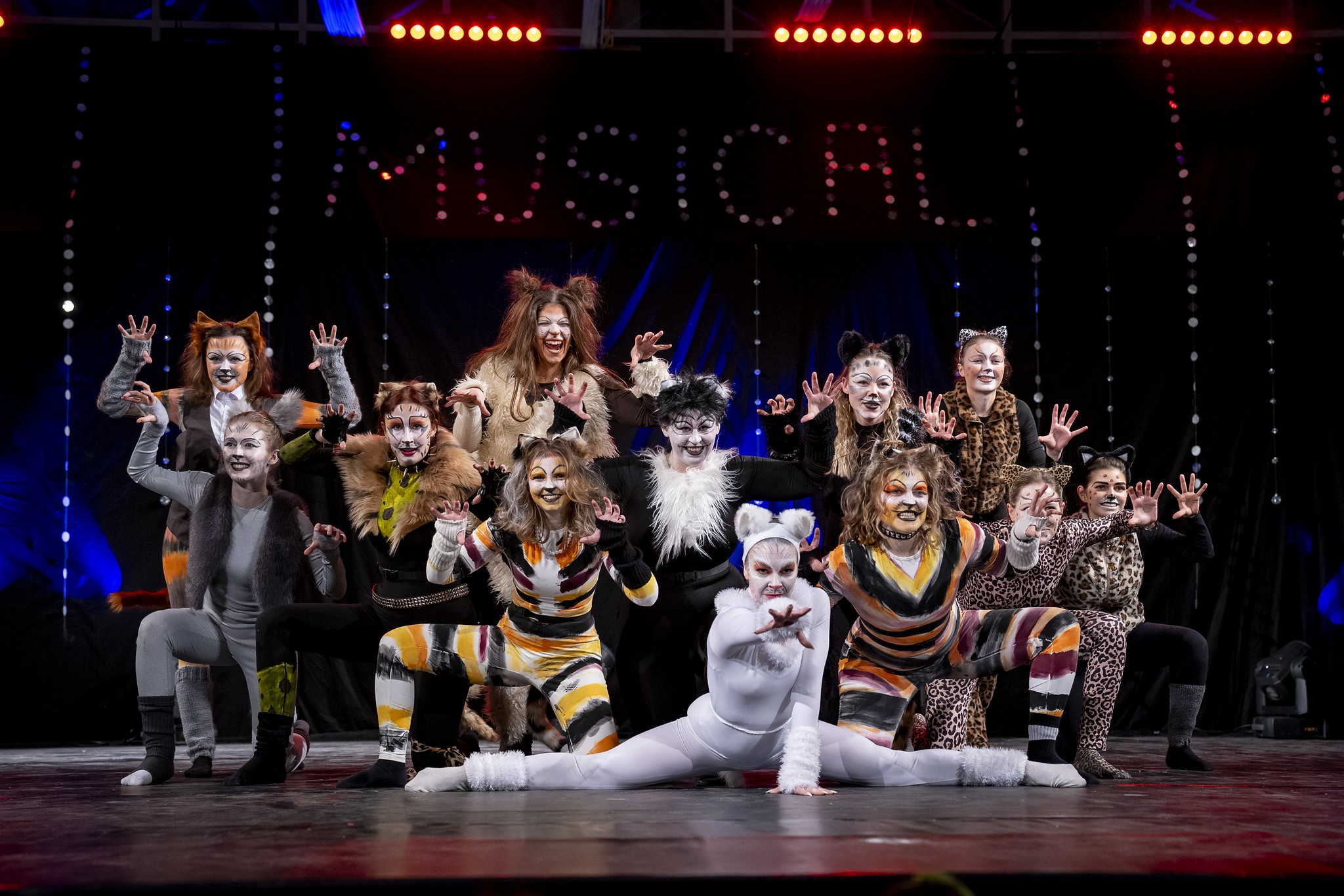 TVP Wintergala Image